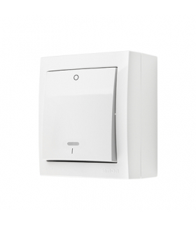 Łącznik dwubiegunowy podświetlany biały 10AX ACW2L/11 AquaClick