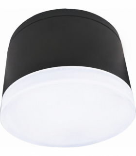 RIKO-R 10W NW 800lm - Oprawa LED elewacyjna Greenlux GXPS151