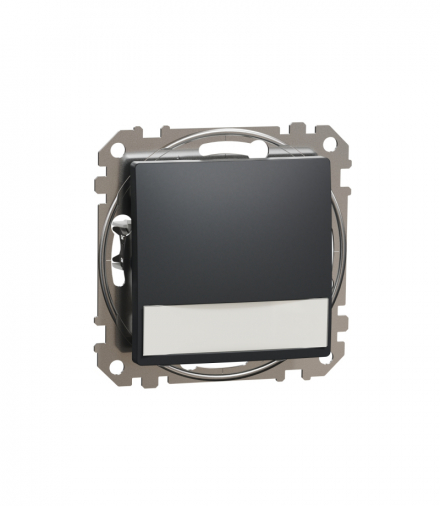 Schneider Electric Sedna Design & Elements, Przycisk z etykietą i podświetleniem (12V AC), czarny antracyt Schneider SDD114143L