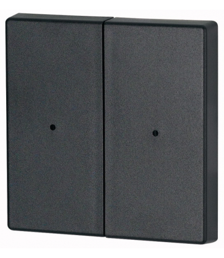 CWIZ-02/04-LED - Kołyska, 2-krotna, +soczewka, antracyt Eaton 126061