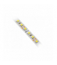 Taśma Flash 3528, 600 LED ciepły biały, 48W/5m bez żelu 8mm, Rolka 50m, 12V GTV LD-3528-600-20-CB-50