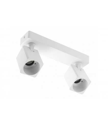 Oprawa sufitowa RENO, aluminium, IP20, max. 20W*2, podwójna, kwadratowa, biała GTV OS-REN20WKW2-10