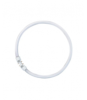 Świetlówka kołowa LUMILUX T5 FC 40W 2GX13 Barwa Neutralna 4000K