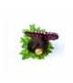 Lampka 3D motyl FX14209