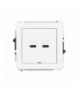 DECO Mechanizm gniazda podwójnego 2xUSB C-C, bez pola opisowego biały Karlik DGUSBBO-8