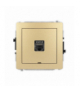 DECO Mechanizm gniazda komputerowego pojedynczego 1xRJ45, kat. 8, ekranowane, 8-stykowy, bez pola opisowego złoty Karlik 29DGKBO-11