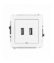 DECO Mechanizm gniazda podwójnego 2xUSB A-A 2.0, bez pola opisowego Karlik DGUSBBO-2