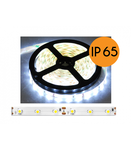 Sznur diodowy ECO wodoodporny, światło zimne białe, 300diod SMD2835, 5m, białe podłoże. LXL091