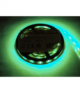 Sznur diodowy ECO IP65, zielony, 60 diod SMD3528, 5m, białe podłoże. LXL153