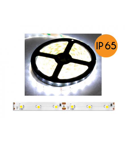Sznur diodowy ECO wodoodporny, światło naturalne białe (4000K), 300 diod, 5m, białe podłoże, SMD2835, IP65. LXL091N