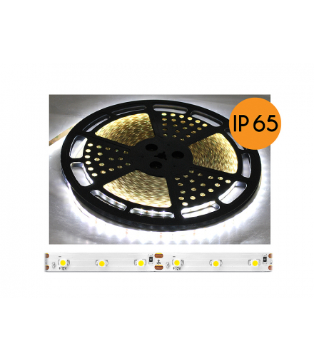 Sznur diodowy ECO IP65, światło naturalne białe, 60diod/m, 25m, białe podłoże, SMD2835. LXL5105