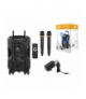 Głośnik Power Audio Activ LTC Rock PA200 BT, SD, USB-FM + REC + AUX, 2x Mic, RGB, 30 W, 600 W. LXPA200
