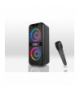 POWER AUDIO ACTIV BKK 2x4" BLUETOOTH/AUX/FM/SD/USB ,podświetlenie LED,mikrofon akumulator 2x1500mAh LXB86