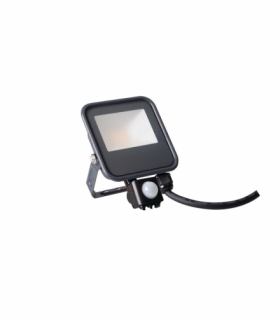 Naświetlacz LED 10W IQ-LED FL Neutralna, Barwa:4000K Kanlux 33885