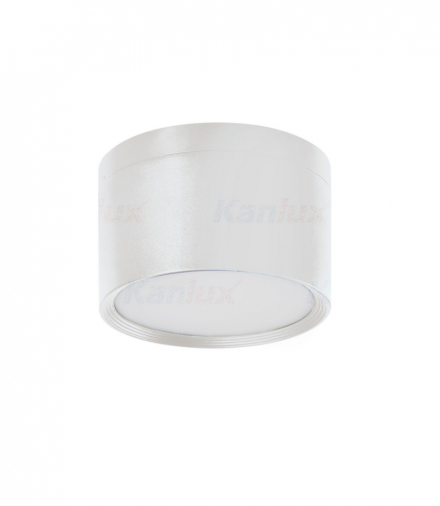 Oprawa typu downlight TIBERI PRO NT Neutralny Kanlux 35678
