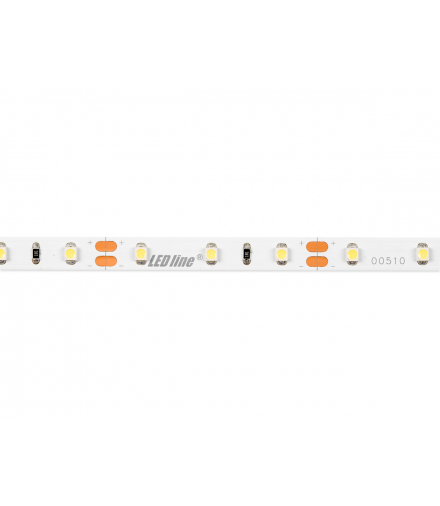 Taśma Pasek 300 SMD3528 12V 6500K 4,8W LEDline 240188