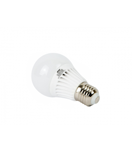 Żarówka LED E27 10W 2700K 1000lm 170-250V A60 LEDline 241710