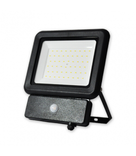 Naświetlacz LED MISTRAL R z czujnikiem ruchu, 50W, barwa światła neutralna biała (4000K), IP 65 Brilum NL-MR5040-00