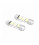 Żarówka LED 39mm, 3x5050, 12V, barwa światła biała zimna LTC SA31