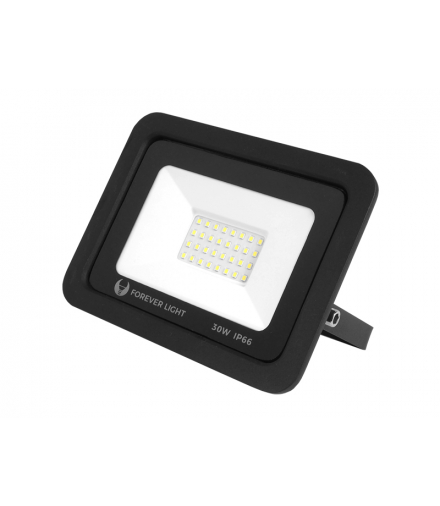 Naświetlacz PROXIM II SLIM LED SMD 30 W, światło zimne białe 6000 K. LXL3616