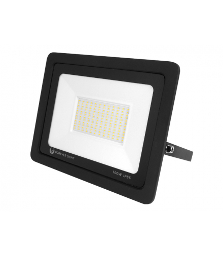 Naświetlacz PROXIM II SLIM LED SMD 100 W, światło białe neutralne 4500 K. LXL3622