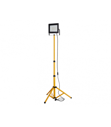 Naświetlacz LED ze statywem 1x100W 6000K Forever Light LXRTV006