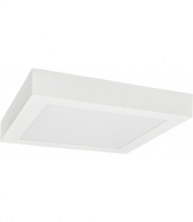 LED120 FENIX-S Snow white 24W NW 1800lm - Oprawa LED natynkowa n/t (Downlight LED) Greenlux GXDW393