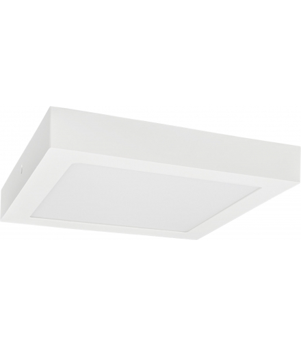 LED120 FENIX-S Snow white 24W NW 1800lm - Oprawa LED natynkowa n/t (Downlight LED) Greenlux GXDW393