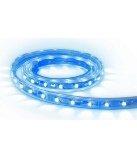 LED STRIP IP65 BL 5m - Taśma LED samoprzylepna na krążku Greenlux GXLS014