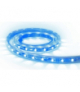 LED STRIP IP65 BL 5m - Taśma LED samoprzylepna na krążku Greenlux GXLS014