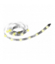 LED STRIP 2835 IP20 CW 30m 1040lm - Taśma LED samoprzylepna na krążku Greenlux GXLS066