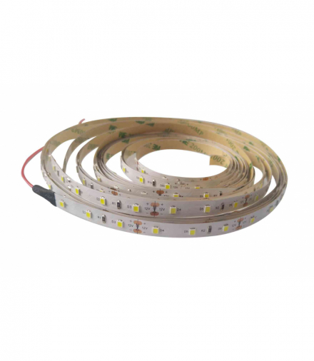 LED STRIP MEDIUM 2835 IP20 CW 5m 620lm - Taśma LED samoprzylepna na krążku Greenlux GXLS322