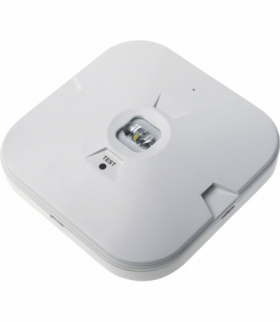 GATRION-SM corridor LED Emergency 3H 3W CW - Oprawa specjalistyczna LED z modułem awaryjnym Greenlux GXNO067
