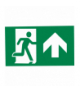 Pictogram EXILON 4,5W - forth Greenlux GXNO078