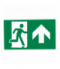 Pictogram EXILON 4,5W - forth Greenlux GXNO078