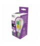 Żarówka LED Filament A60 / E27 / 3,8 W (60 W) / 806 lm / neutralna biel EMOS ZF5148