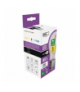 Żarówka LED Filament A60 / E27 / 3,8 W (60 W) / 806 lm / neutralna biel EMOS ZF5148