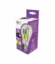 Żarówka LED Filament A60 / E27 / 3,8 W (60 W) / 806 lm / ciepła biel EMOS ZF5147