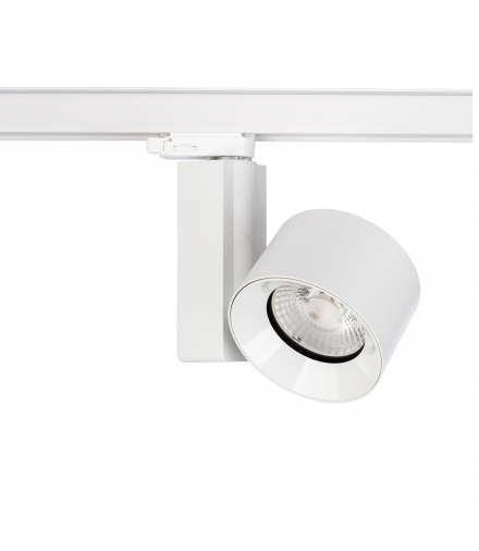 CTLS NEA LED 30W 4000K Lampa LED max 30W 4000K 2600lm Biały Nowodvorski 8752