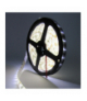 Taśma LED 300 14.4W/m Neutralny 4000K 800lm/m 12V IP63 /5m/ Ecolight EC79564