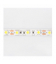 Taśma LED 300 14.4W/m Zimny 6500K 800lm/m 12V IP20 /5m/ Ecolight EC79364