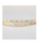 Taśma LED 300 14.4W/m Zimny 6500K 800lm/m 12V IP63 /5m/ Ecolight EC79366