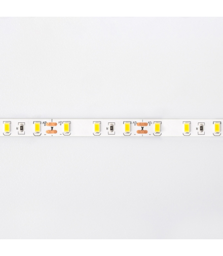 Taśma LED 300 19W/m Ciepły 3000K 1550lm/m 12V IP20 /5m/ Ecolight EC79645