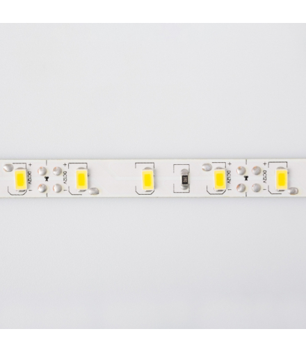 Taśma LED 300 19W/m Zimny 6500K 1550lm/m 12V IP20 /5m/ Ecolight EC79647