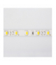 Taśma LED 300 19W/m Zimny 6500K 1550lm/m 12V IP20 /5m/ Ecolight EC79647