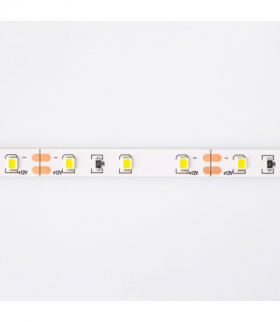 Taśma LED 300 4.8W/m Ciepły 3000K 300lm/m 12V IP20 /5m/ Ecolight EC79015