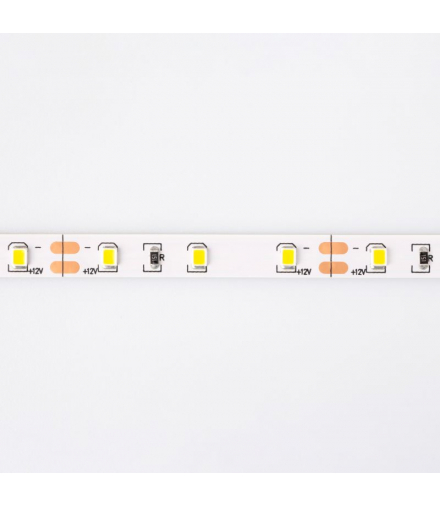 Taśma LED 300 4.8W/m Ciepły 3000K 300lm/m 12V IP20 /5m/ Ecolight EC79015