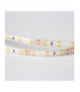 Taśma LED 300 4.8W/m Ciepły 3000K 300lm/m 12V IP63 /5m/ Ecolight EC67708