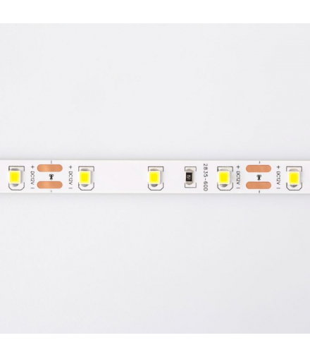 Taśma LED 300 4.8W/m Neutralny 4000K 300lm/m 12V IP20 /5m/ Ecolight EC79350