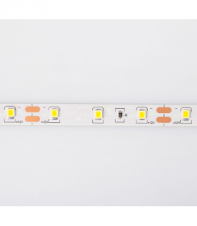 Taśma LED 300 4.8W/m Zimny 6500K 200lm/m 12V IP20 /5m/ E Ecolight EC79101